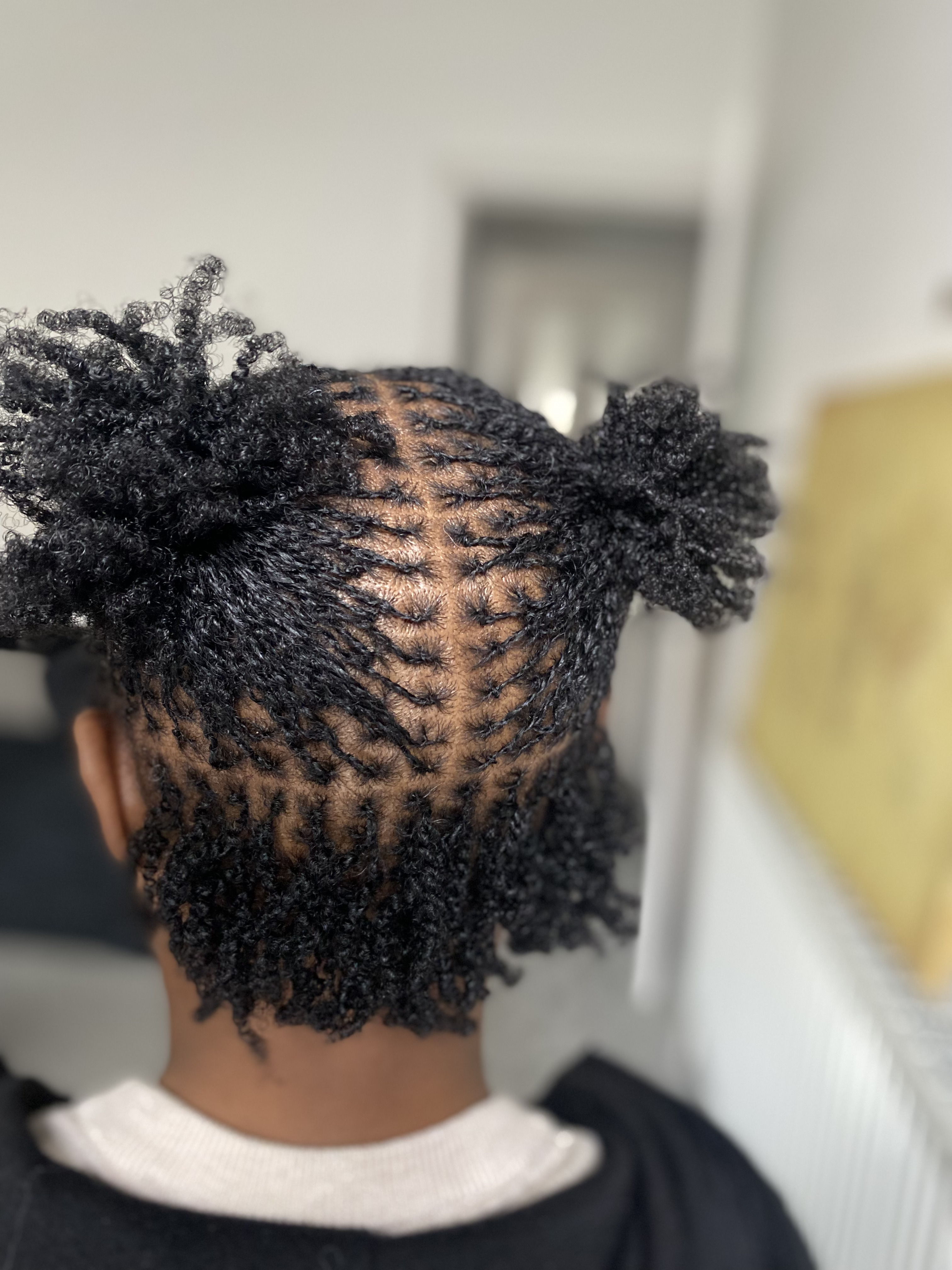 Micro Twist 2